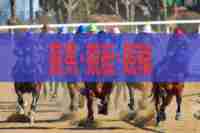 keiba gamble rtp